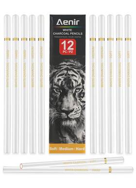 Acp-189 Aenir White Charcoal Pencils Pack Of 12 Drawing