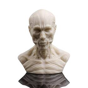 Doc.royal Sx-65 Human Bust Sculpture Statue Resin Sketch Draw Plaster Cast Artist Model Decor