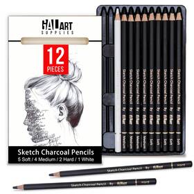 Cp-12 Galart Supplies Charcoal Drawing Set With Organizer Tray 12 Pieces Soft Medium Hard An