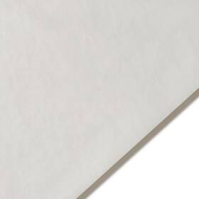 5a00368l-1h7bz Pacon 25 Pack - Canson Artist Series Glassine Sheet 24 Inch X36 -sheet