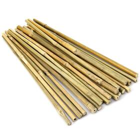 O-026s Pllieay 20pcs 12 Inch Plant Stakes Garden Bamboo Suppo