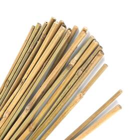 Pl-0409 Pllieay 20pc 1.33ft/16 Inch Natural Plant Stakes Garden Bamboo Sticks F