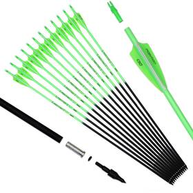 Fg6278 Pointdo 30inch Carbon Arrow Fluorescence Color Targeting And Practice Hunting Arr