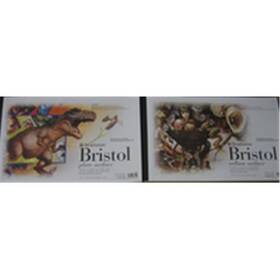 580-52 Strathmore 500 Bristol Pads 11 Ft. X 17 Inch Plate