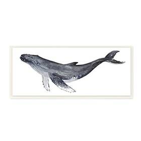 Stupell Industries 196216375473 Humpback Whale Watercolor Painting Aquatic Animal Portrait Wall Plaque 17 X