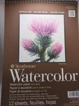 Strathmore Watercolor Cold Press Heavy Weight 9X12 - Sheets. Fixed Price $11.00.