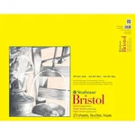 Strathmore 300 Series Smooth Bristol Pad 19X24". Fixed Price $44.99.