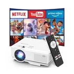 Netflix Officially Nisoo Smart Projector With Wifi And Bluetooth,. Fixed Price $118.82.