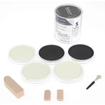 Panpastel 5 Pearl Mediums Starter Set. Fixed Price $43.49.