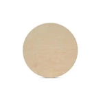 Circle Discs 7 Inch 1/2 Thick, Unfinished Birch Rounds Woodpeckers. Fixed Price $54.05.