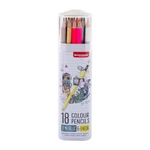 Bruynzeel Metallic & Neon Shades Buntstifte, 18-TEILIG, In Dose. Fixed Price $32.82.
