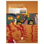 Clairefontaine Pastelmat Pad NO.2 30 X 40 Cm 12 Sheets Drawing Books. Fixed Price $46.74.