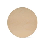 Unfinished Circles, X 1/16 Inch, Discs For Crafts Woodpeckers. Fixed Price $14.92.