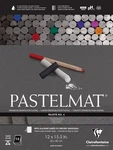 Clairefontaine Pastelmat Glued Pad - Palette No. 6 (12 X 15 3/4 Inches) 30. Fixed Price $90.80.