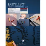 Clairefontaine Pastelmat Card Pad -360G (ref 4)- 96112C 30 X 40CM. Fixed Price $60.44.