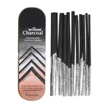 Xgopts Willow Vine Sketch Charcoal Sticks Tin Box Set Of 10 Compressed Assort.... Fixed Price $17.21.