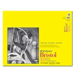 Strathmore 300 Bristol Vellum 14X17 Pad. Fixed Price $48.68.