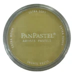 Panpastel Yellow Ochre Tint Single Artists Ultra Soft 22708 PY42/PW6. Fixed Price $11.99.