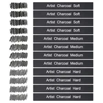 Stapens 12 Pack Compressed Charcoal Sticks Vine For Drawing Sk.... Fixed Price $16.53.