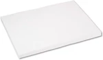 5220 Heavyweight Tagboard 24 X 18 White 100/PACK. Fixed Price $39.99.