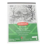 Derwent Academy Drawing Paper, Heavyweight, 9IN X 12IN, 40 Sheets. Fixed Price $12.61.