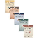Clairefontaine Pastelmat Paper Pad Velvet Surface For Drawing 360GSM. Fixed Price $46.63.