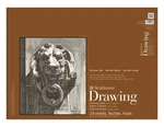 Strathmore (400-107 Series Drawing, Smooth Surface, 14X17,. Fixed Price $32.99.