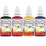 4 Color Airbrush Temporary Tattoo Ink Kit Black, Red, Blue, Yellow. Fixed Price $48.55.