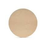 Unfinished Circles, 4 X 1/16 Inch, Discs For Crafts Woodpeckers. Fixed Price $11.72.