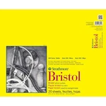 Strathmore 300 Series Vellum Bristol Pad 14X17". Fixed Price $26.99.