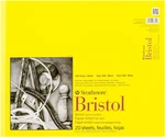 300 Series Bristol Paper Pad, Vellum, Tape Bound, 14X17 Inches, 20 Sheets (100LB. Fixed Price $25.95.