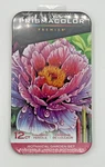 Prismacolor Premier Pencils Botanical Garden Set Coloring 12 Ct. Brilliant. Fixed Price $11.57.