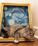 Van Gogh Starry Night Cat House, Artistic Bed Frame, Creative Pet Decor. Fixed Price $65.00.