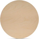 Circles 16 Inch, 1/8 Thick, Birch Plywood Discs, Pack Of 2 Unfinished. Fixed Price $7.99.