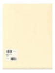 Arches Rives Heavyweight Paper. Fixed Price $23.68.
