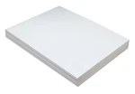 Pacon PAC5214 Tagboard, Heavyweight, 12 X 18, White, 100 Sheets. Fixed Price $24.66.