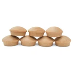 Plugs 3/8 Inch, Maple, Button Top For Screw Holes Woodpeckers. Fixed Price $9.78.