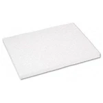 Pacon Tagboard Paper - 18" X 24" White (PAC5220). Fixed Price $55.67.