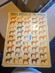 Cypgtbck Vintage Horse Poster Breeds Decorative Painting .... Fixed Price $20.00.