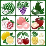 9 Pcs Large Fruits Stencils For Painting, 8X8 Inch Reusable S.... Fixed Price $13.56.